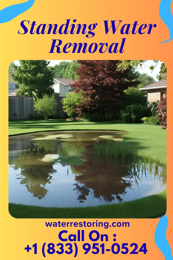 Standing Water Removal in Loomis, NE